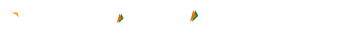 Group 11