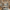 Category Banner 1