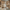 Category Banner 11