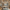 Category Banner 8