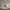 Category Banner 9