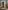 غرفة نوم جوتشي 3دورز - Guchi 3doors bedroom