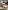 غرفة نوم نيڤيا نيوكلاسيك - Nevia new classic bedroom