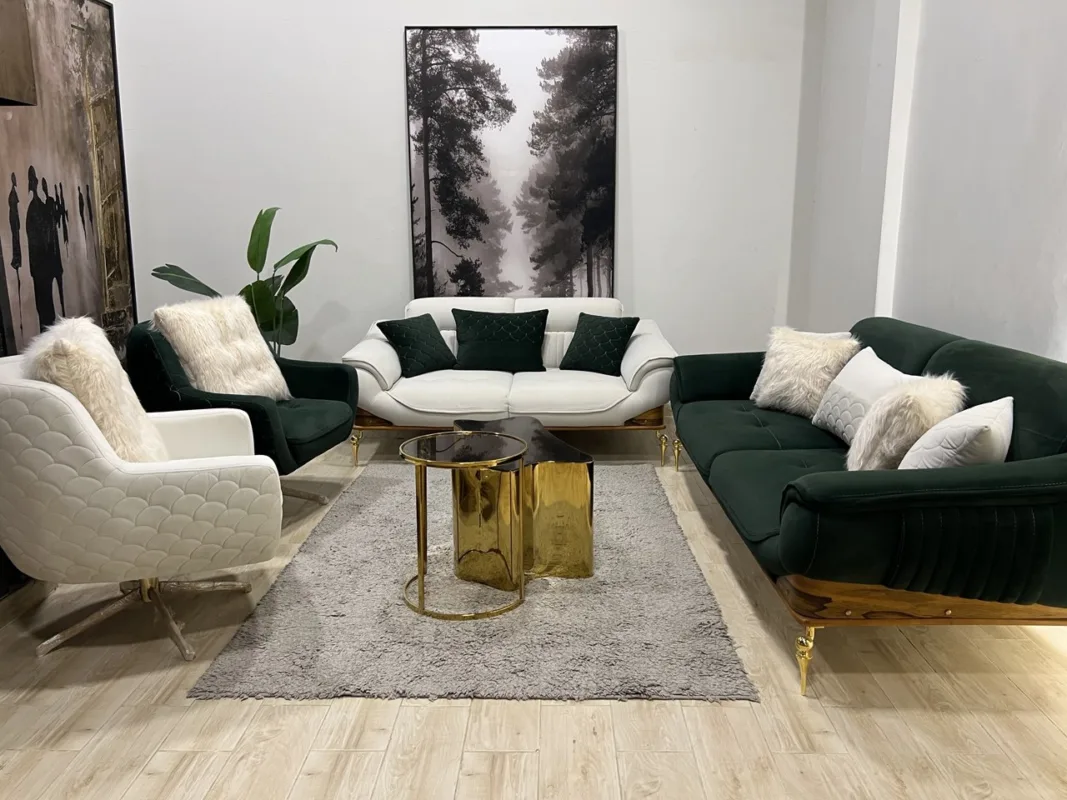أنتريه سيجور تصميم عصري فاخر Best Cegour Sofa Set