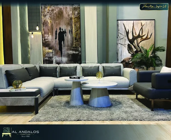 غرفة معيشة أيه إم سي - Amc livivg room